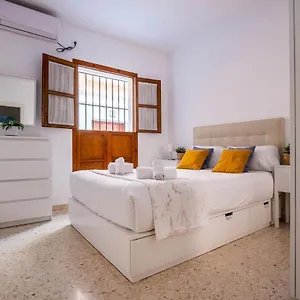 Canarios Sweet Sevilla